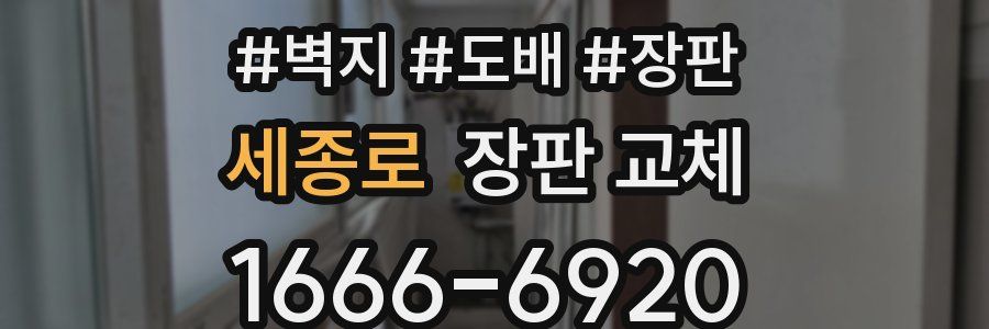 세종로 장판 교체