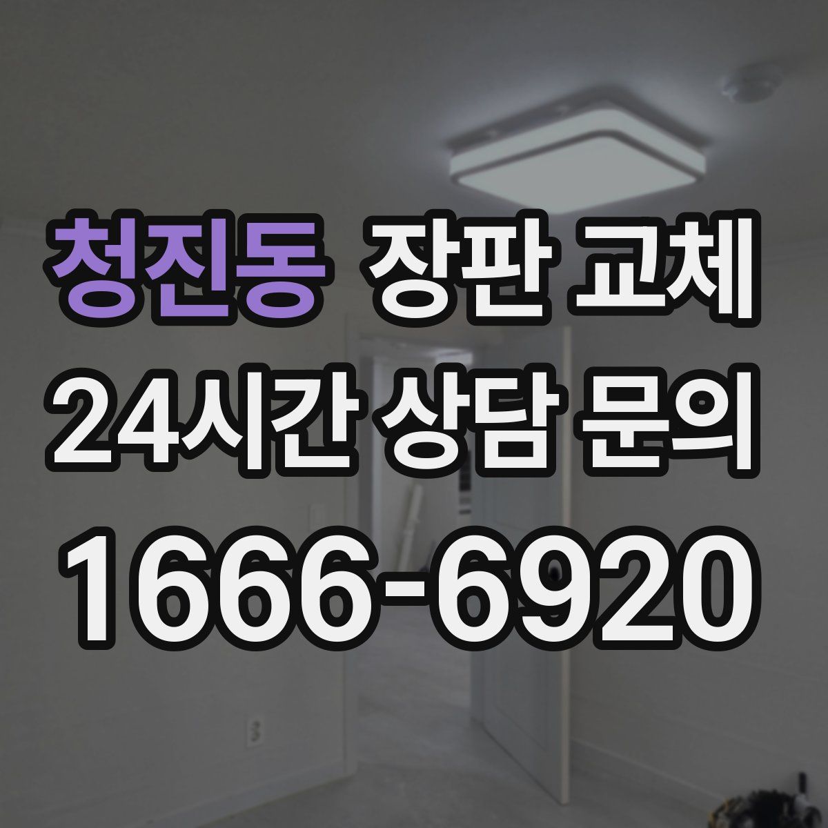 청진동 장판 교체