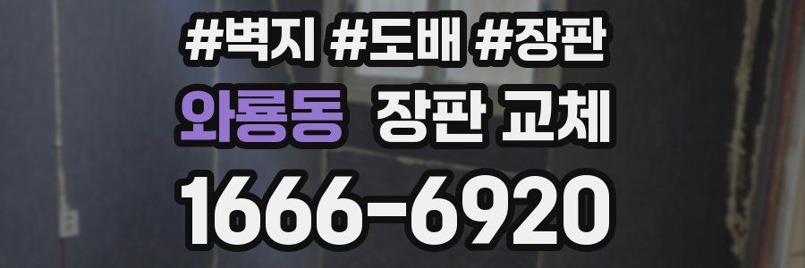 와룡동 장판 교체