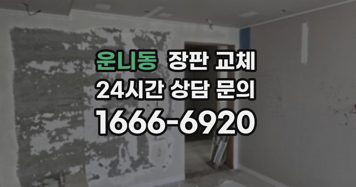 운니동 장판 교체