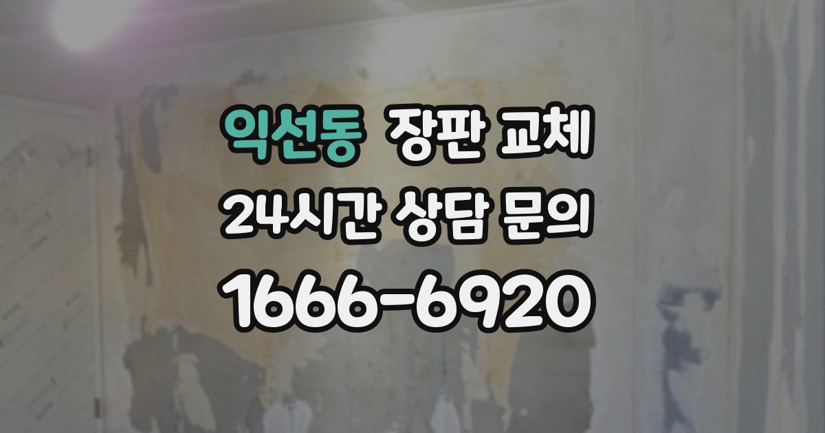 익선동 장판 교체