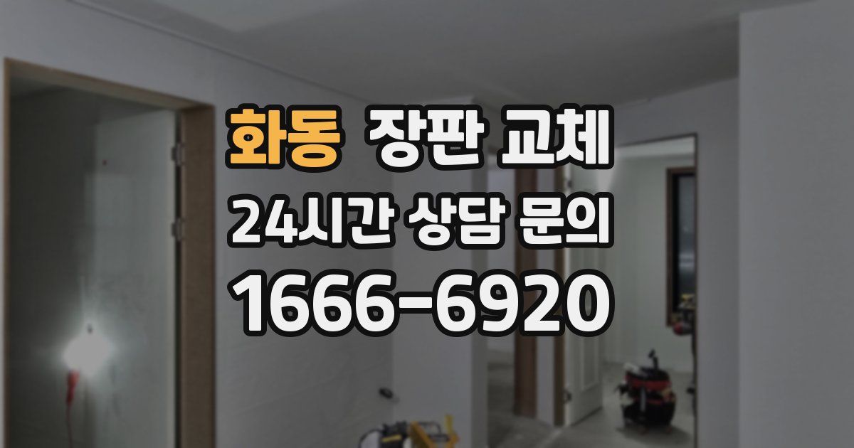 화동 장판 교체