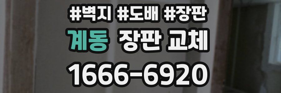 계동 장판 교체