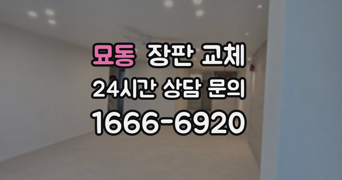 묘동 장판 교체