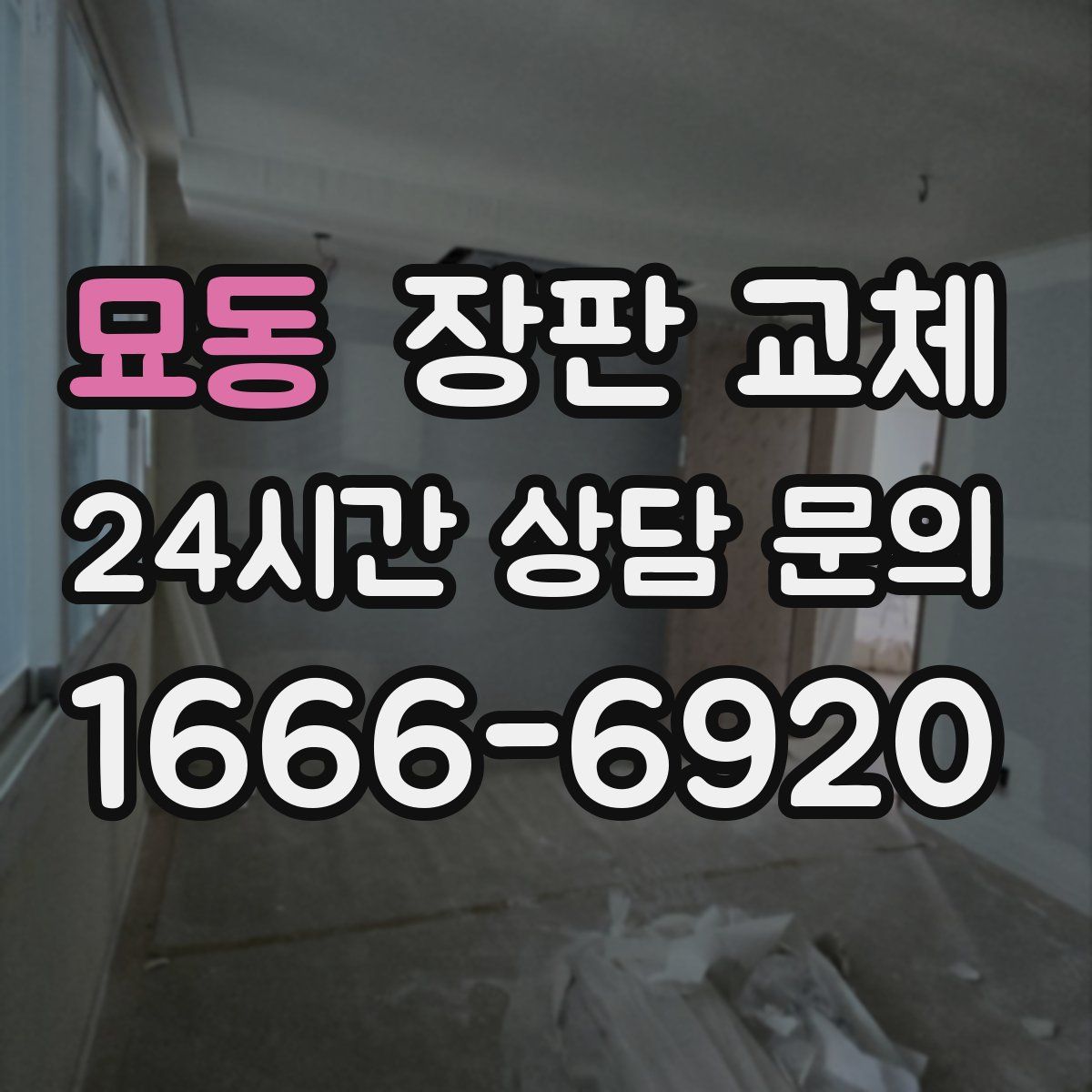 묘동 장판 교체