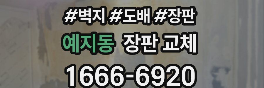예지동 장판 교체