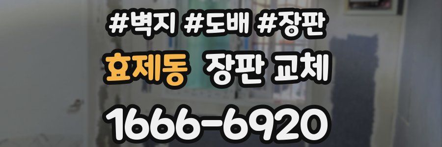 효제동 장판 교체