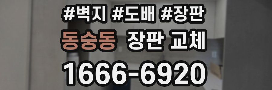 동숭동 장판 교체
