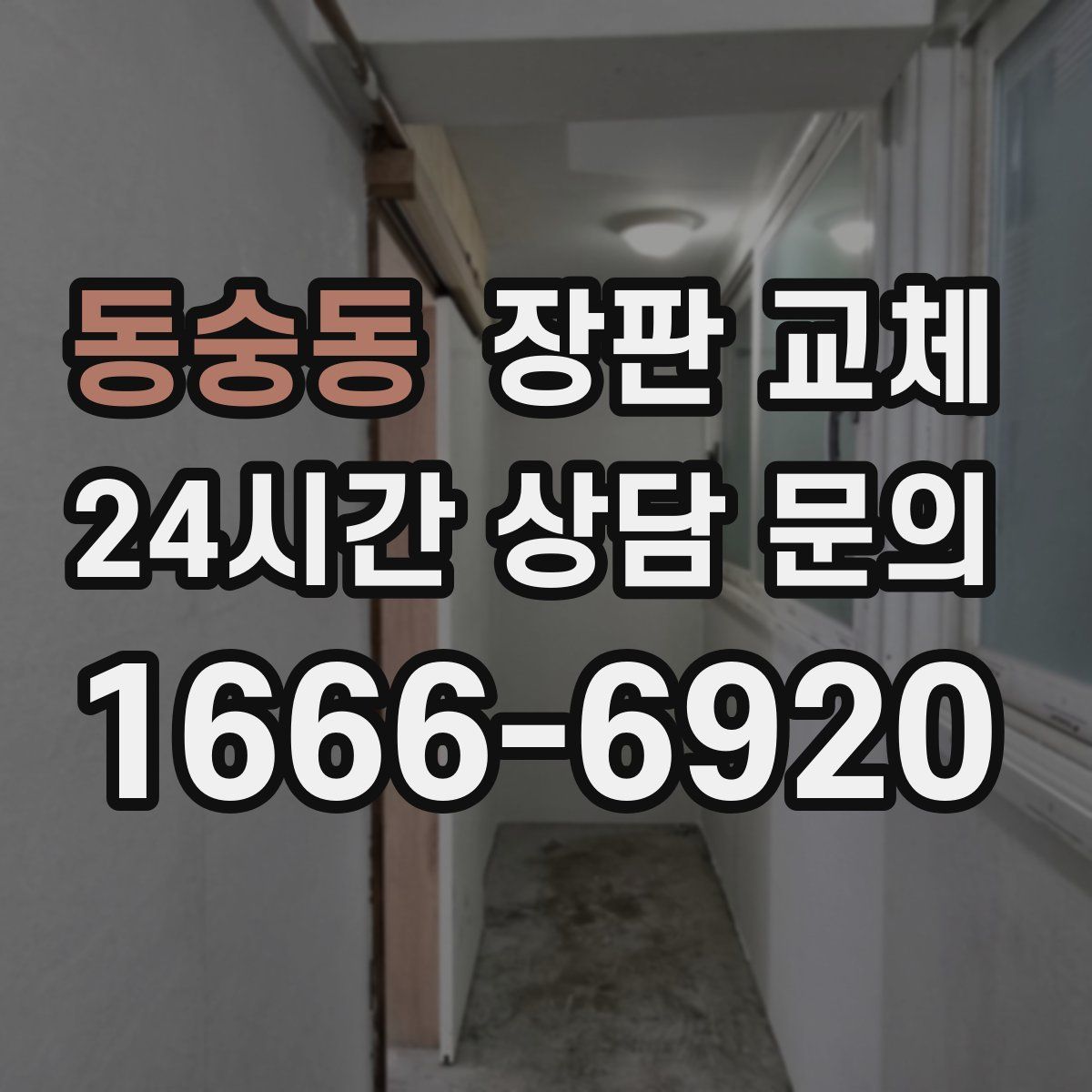 동숭동 장판 교체