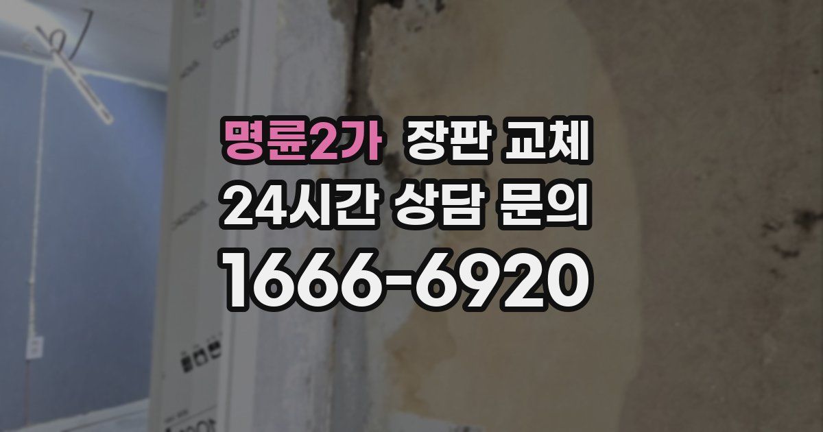 명륜2가 장판 교체