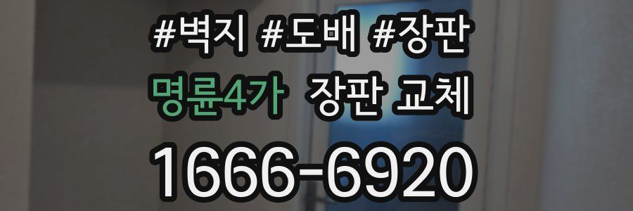 명륜4가 장판 교체