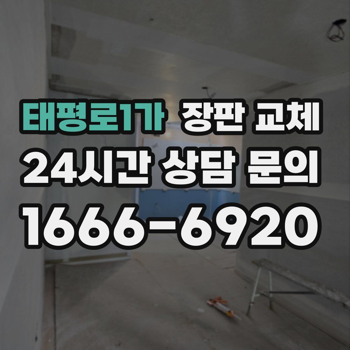 태평로1가 장판 교체