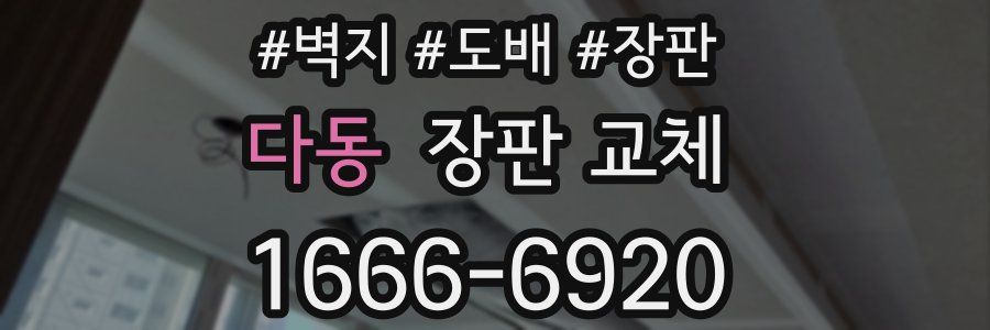 다동 장판 교체