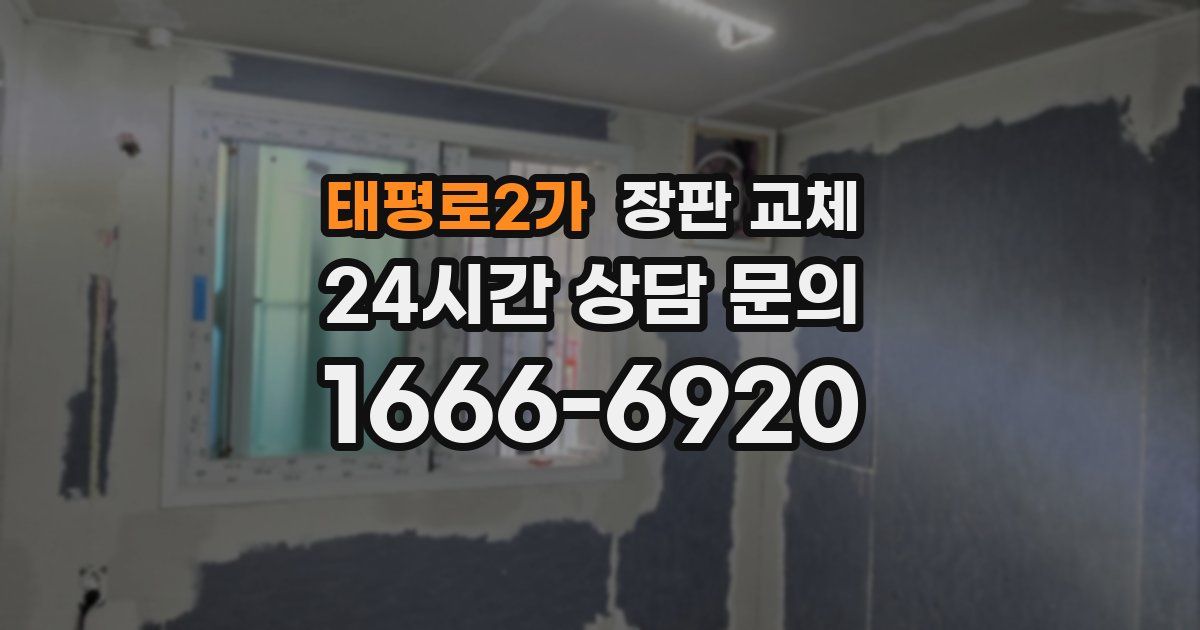 태평로2가 장판 교체