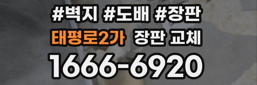 태평로2가 장판 교체