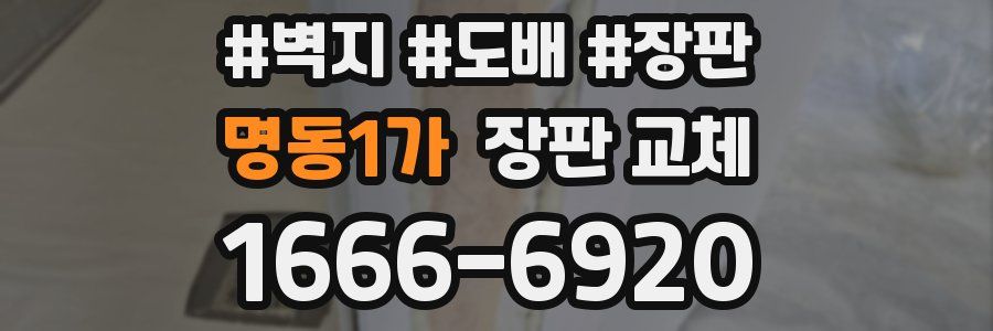 명동1가 장판 교체