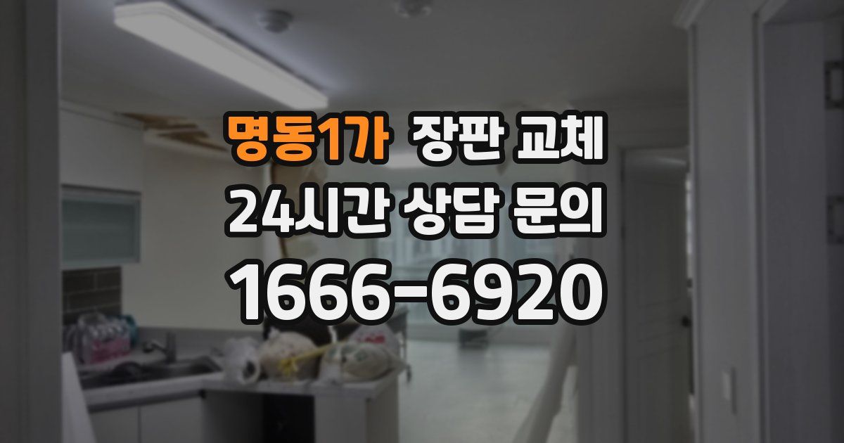 명동1가 장판 교체