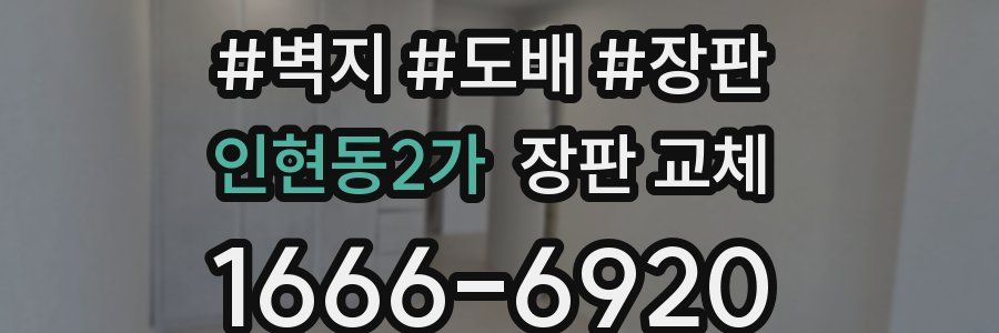 인현동2가 장판 교체