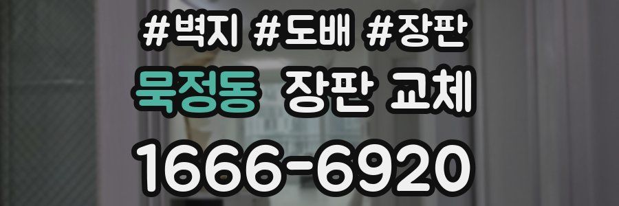 묵정동 장판 교체