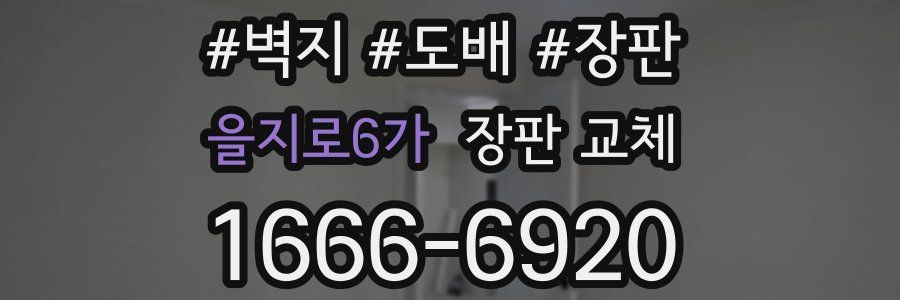 을지로6가 장판 교체