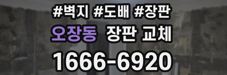 오장동 장판 교체