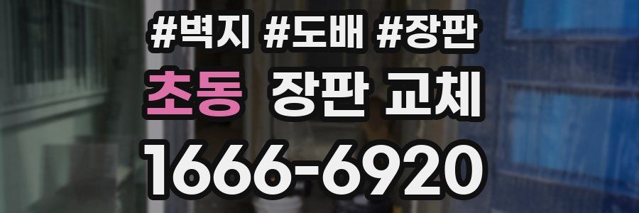 초동 장판 교체