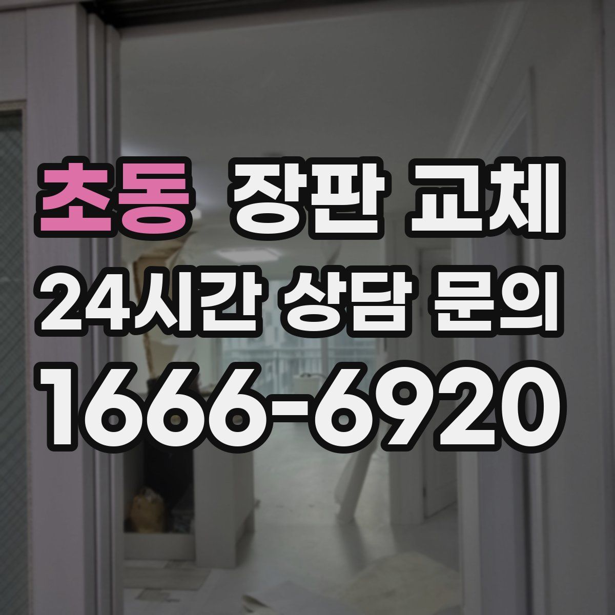 초동 장판 교체