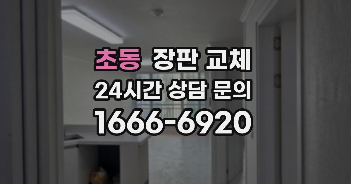 초동 장판 교체