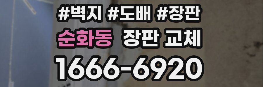 순화동 장판 교체