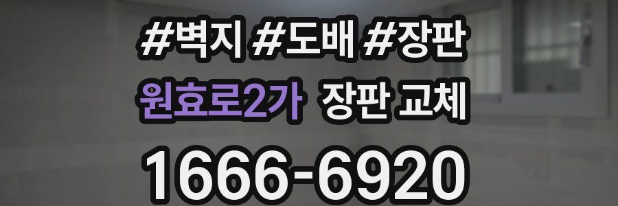 원효로2가 장판 교체