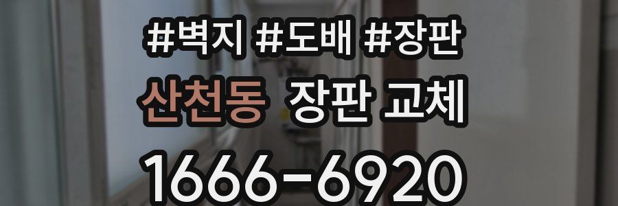 산천동 장판 교체
