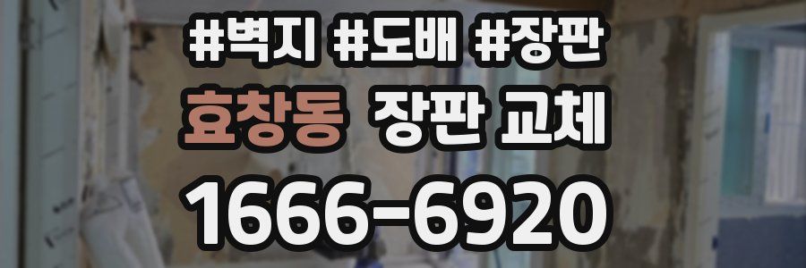 효창동 장판 교체