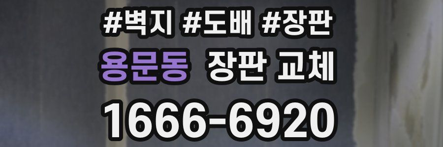용문동 장판 교체