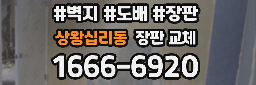 상왕십리동 장판 교체