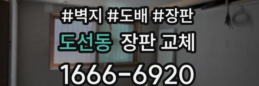 도선동 장판 교체