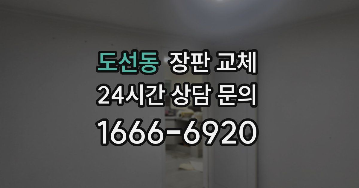 도선동 장판 교체