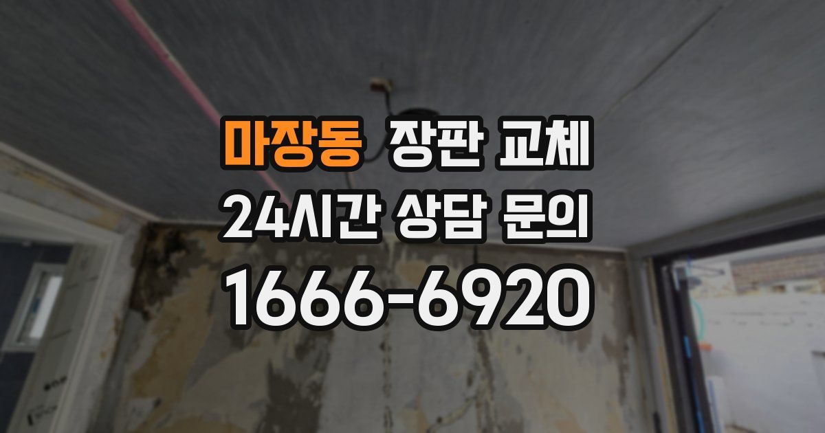 마장동 장판 교체