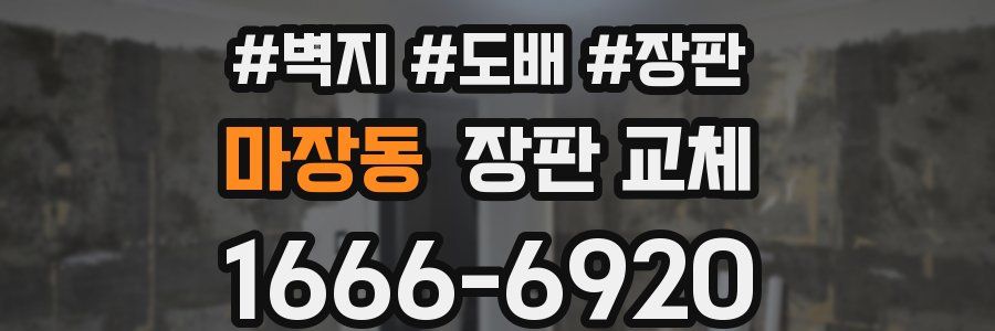 마장동 장판 교체
