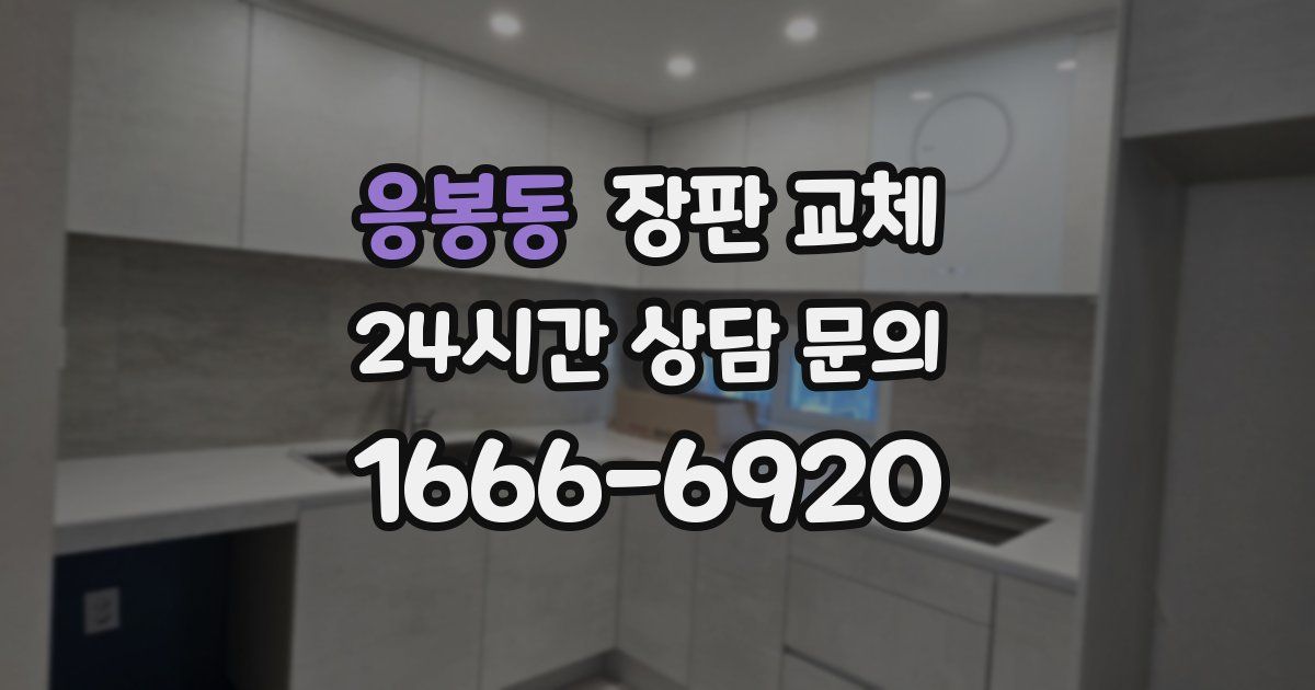 응봉동 장판 교체