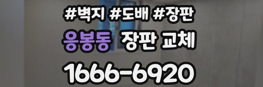 응봉동 장판 교체