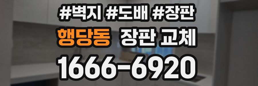 행당동 장판 교체