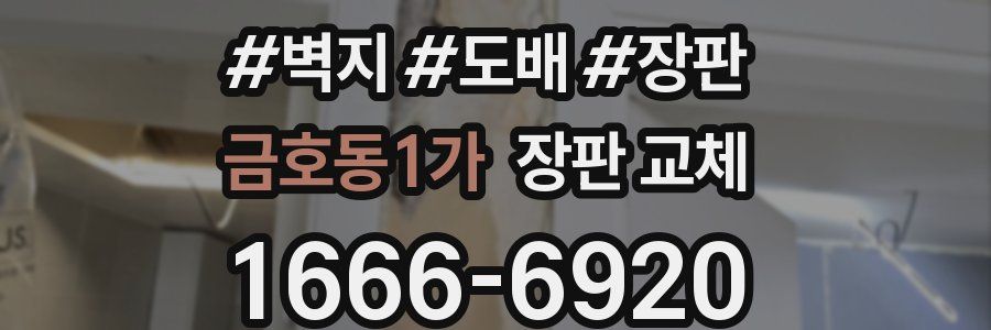 금호동1가 장판 교체