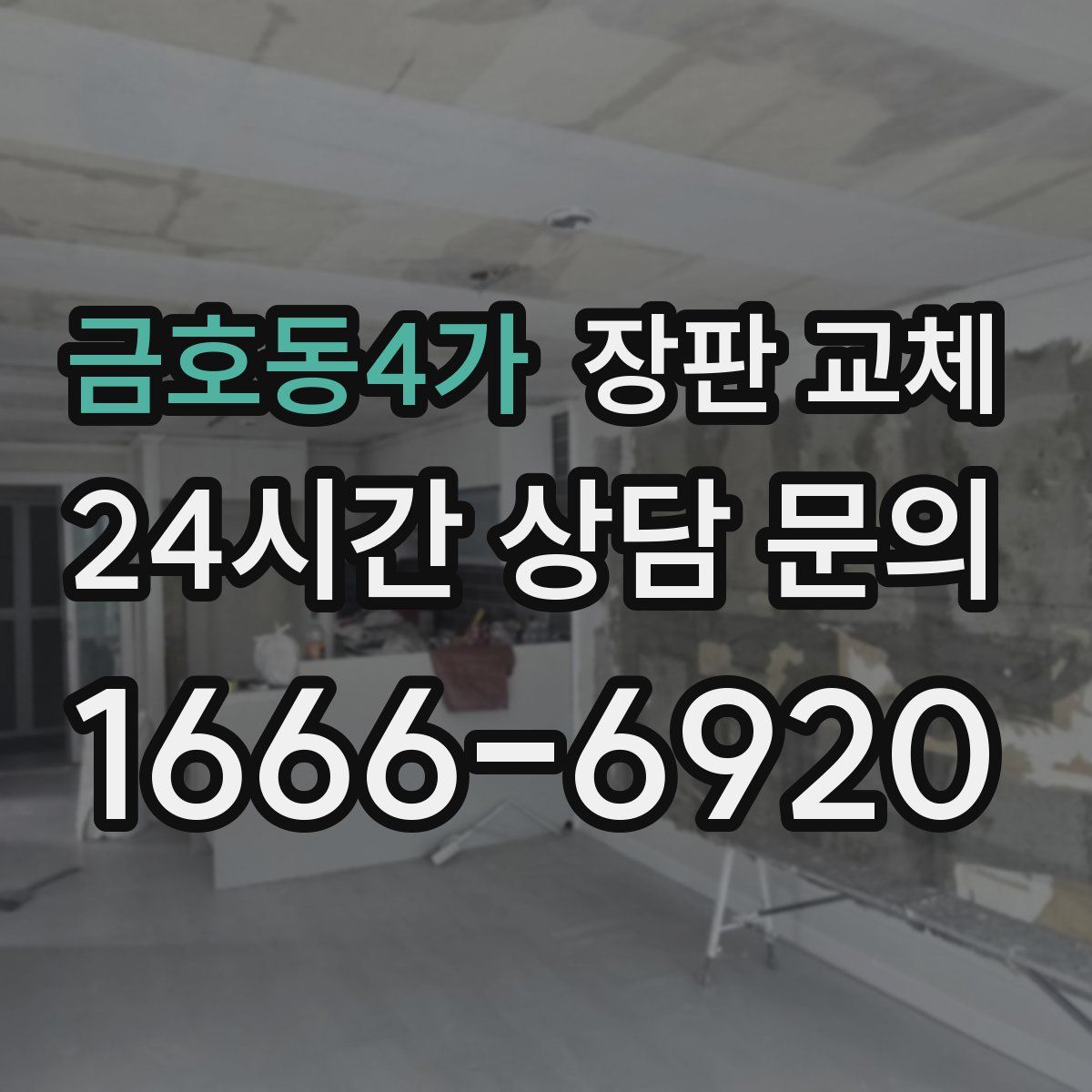 금호동4가 장판 교체