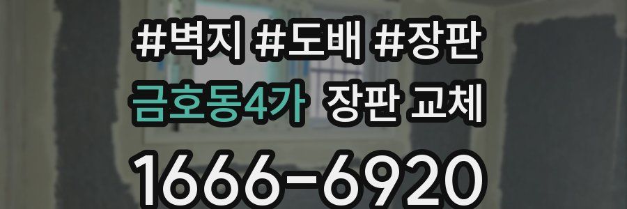 금호동4가 장판 교체