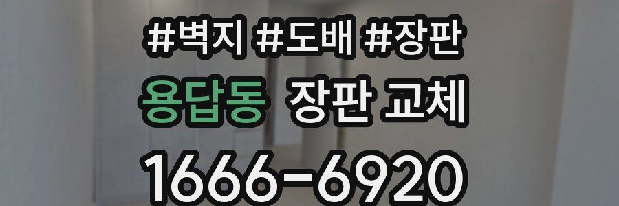 용답동 장판 교체