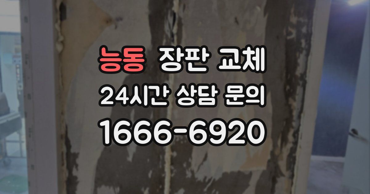 능동 장판 교체
