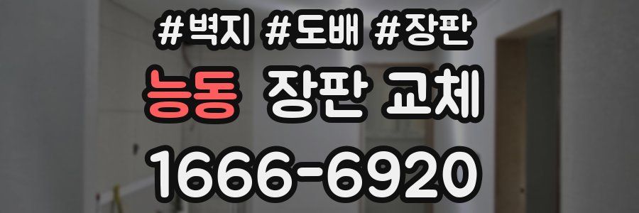 능동 장판 교체