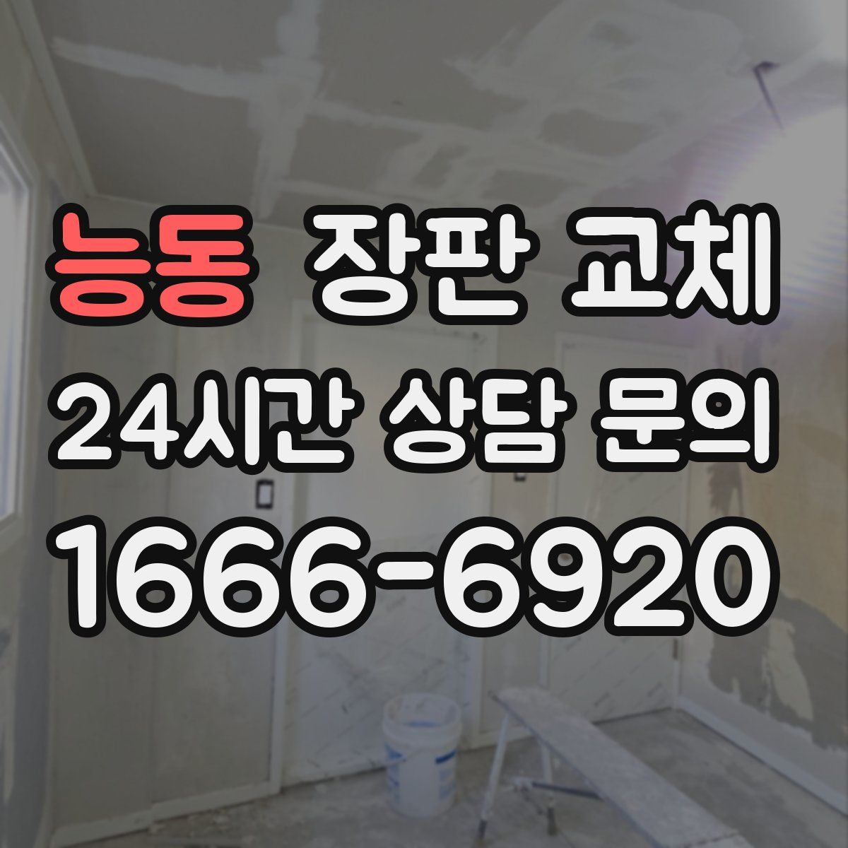 능동 장판 교체