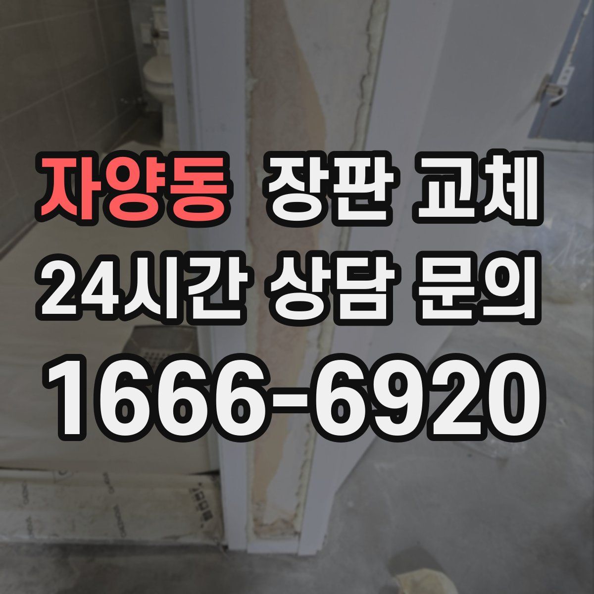 자양동 장판 교체