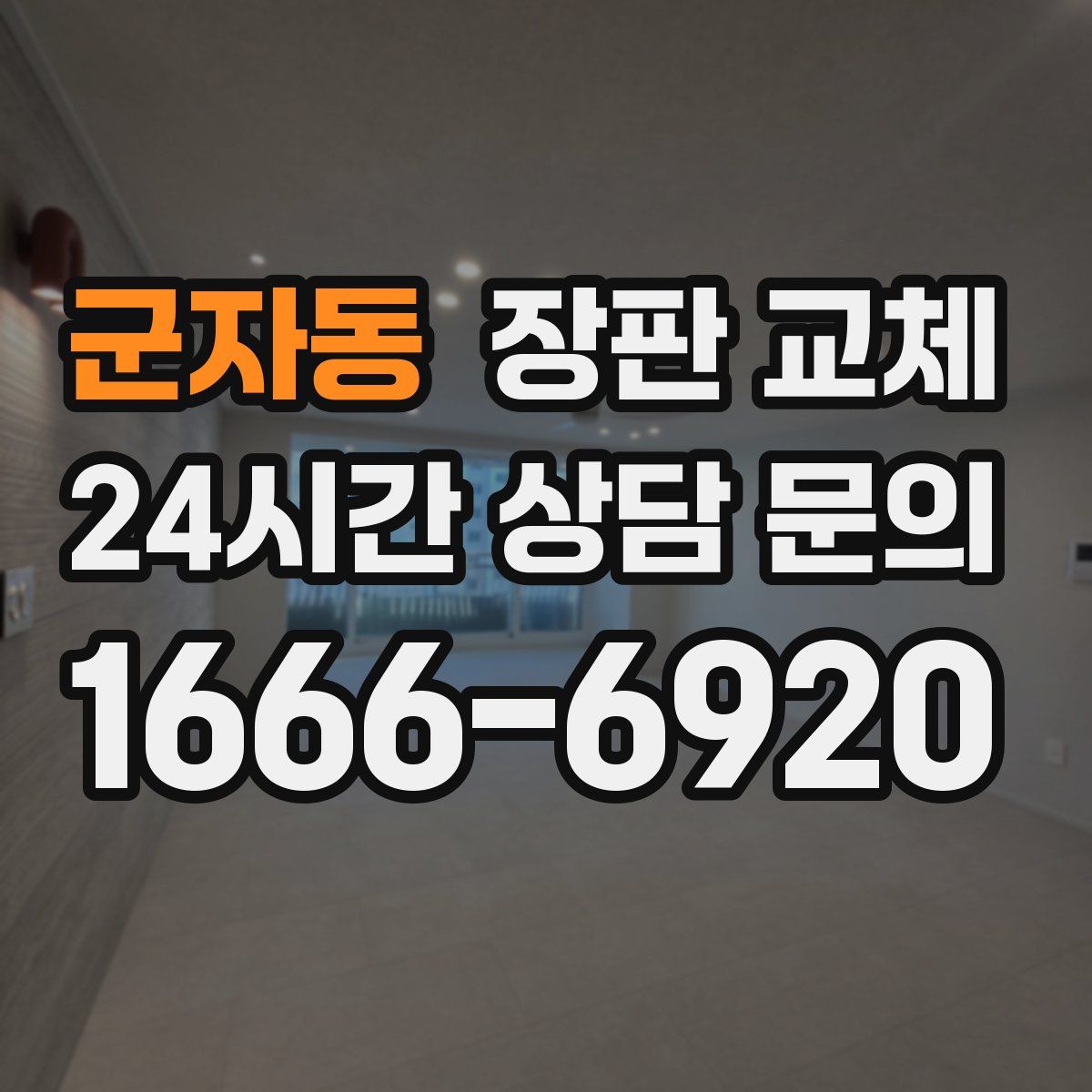 군자동 장판 교체